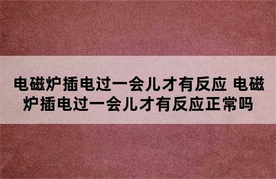 电磁炉插电过一会儿才有反应 电磁炉插电过一会儿才有反应正常吗